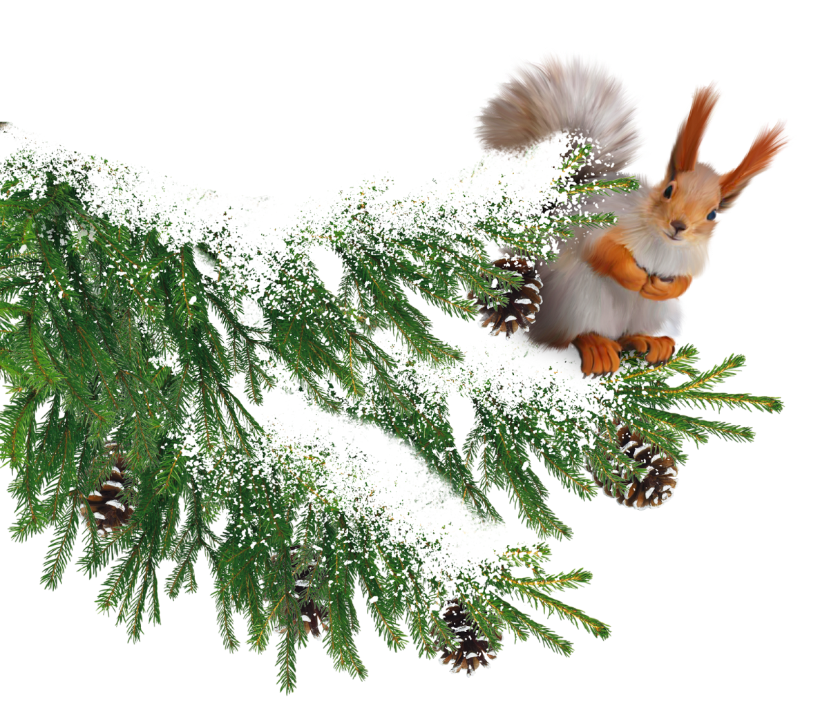 Ветка Еловая