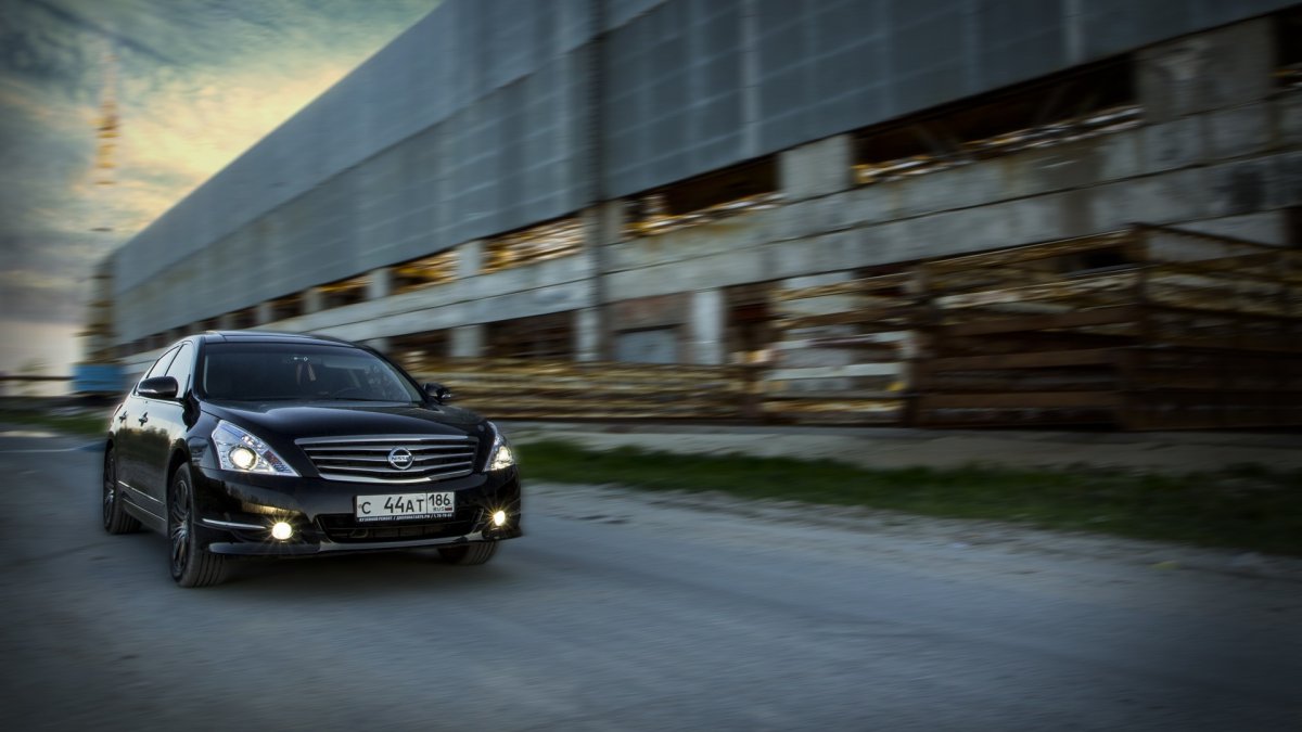 Ниссан Теана в лесу