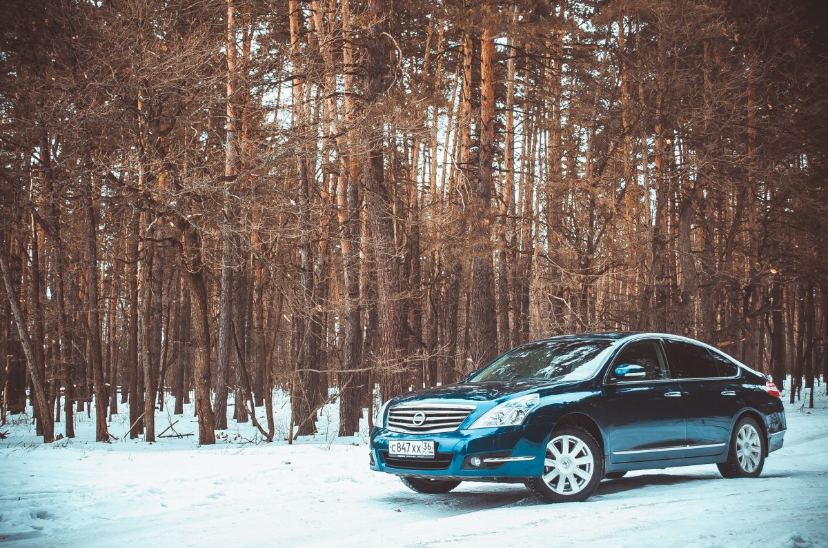 Ниссан Теана j31 черная