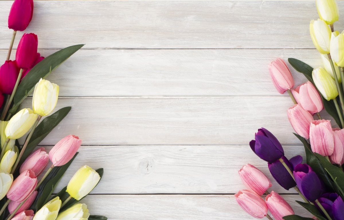 Тюльпаны фон