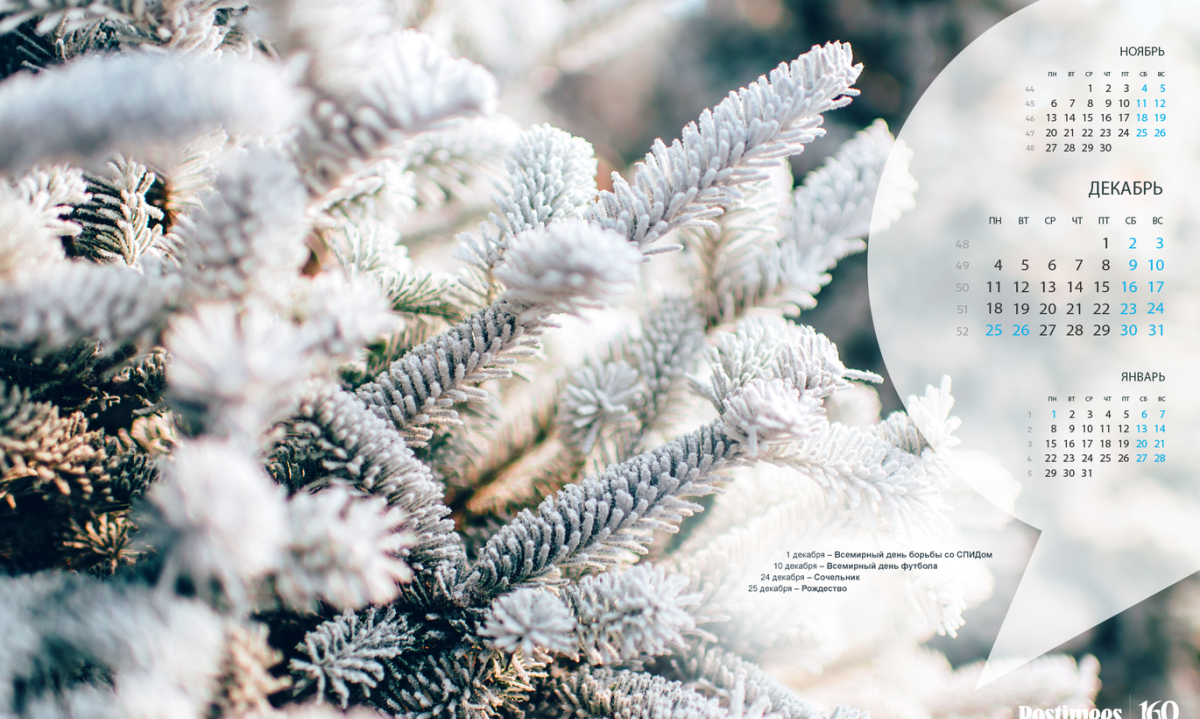 Фотофон с тюльпанами