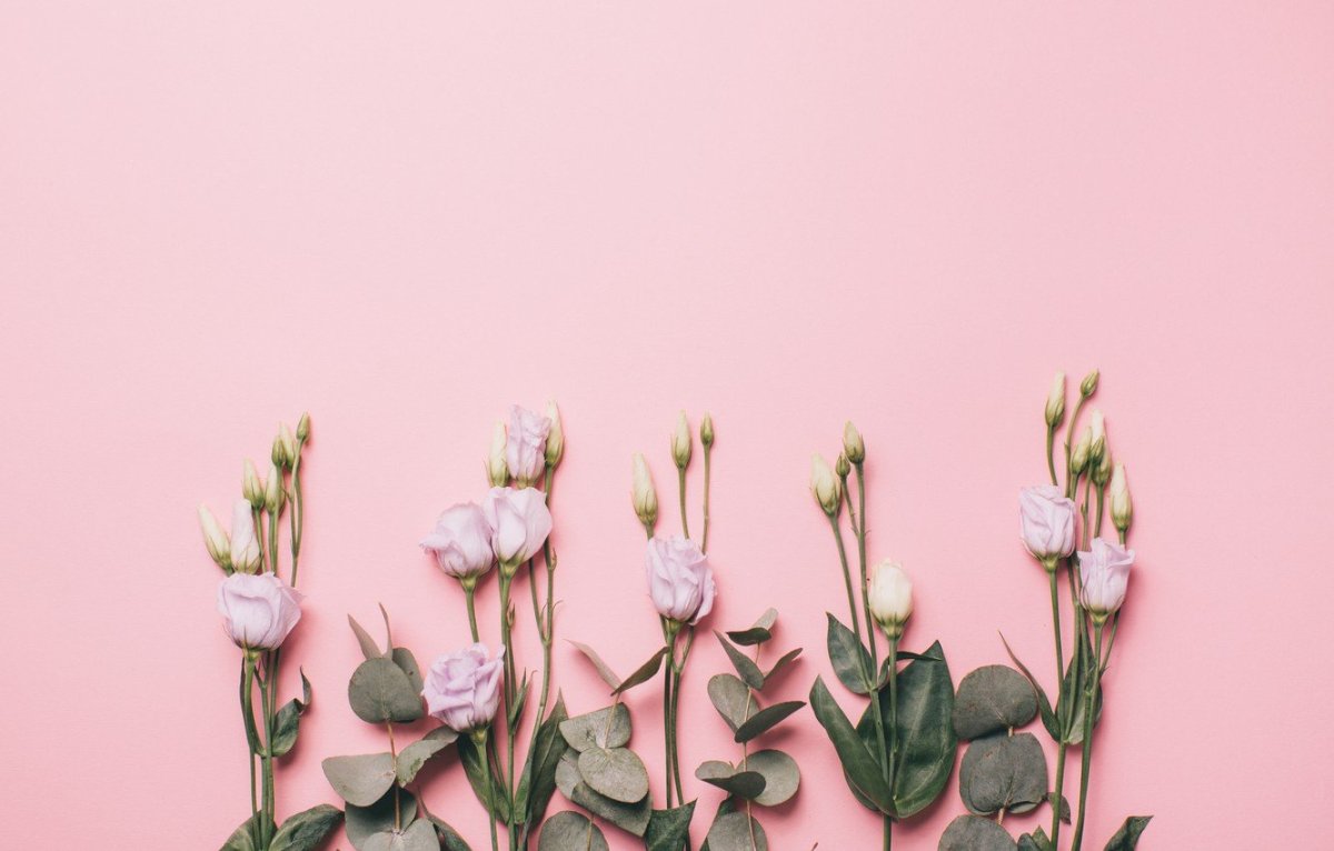 Рисунки в пастельных тонах