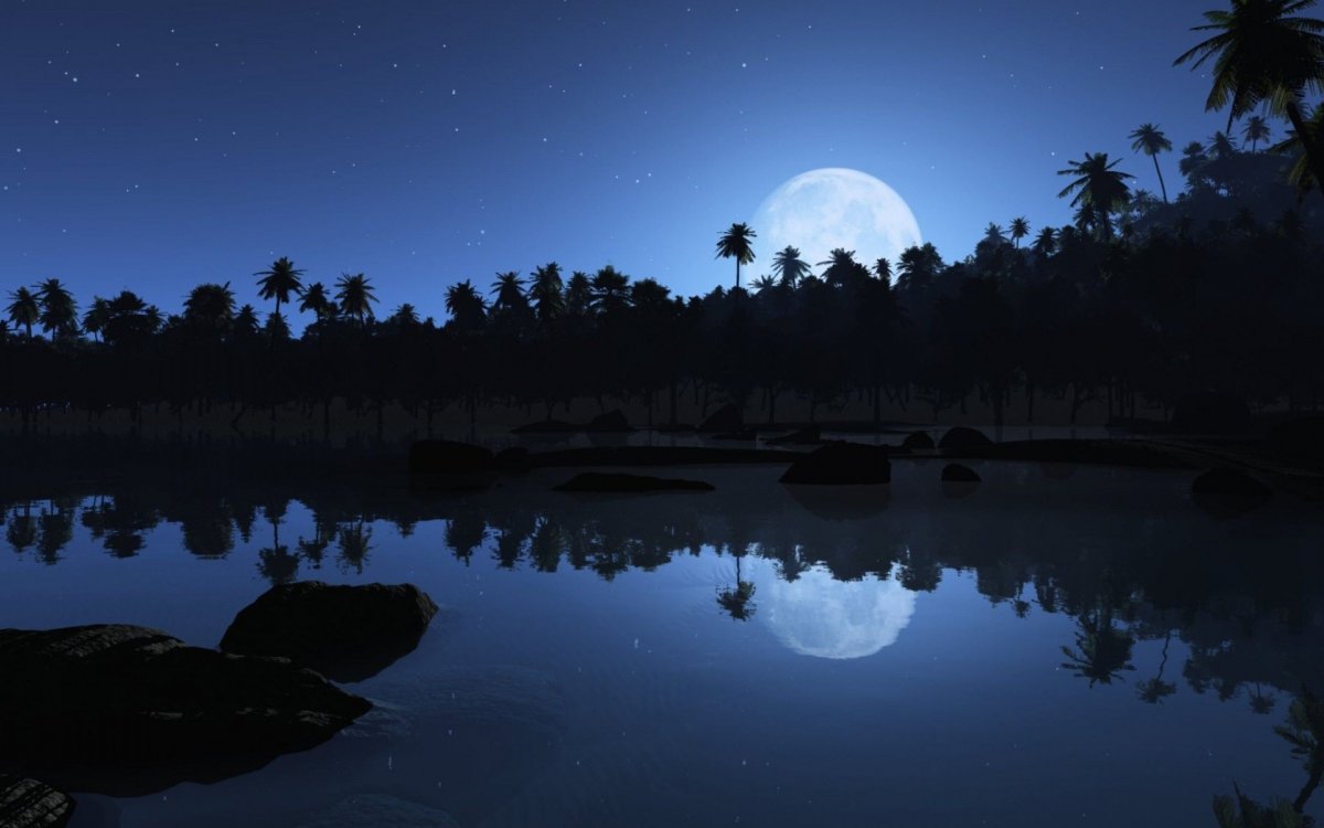 Ночь в тропиках