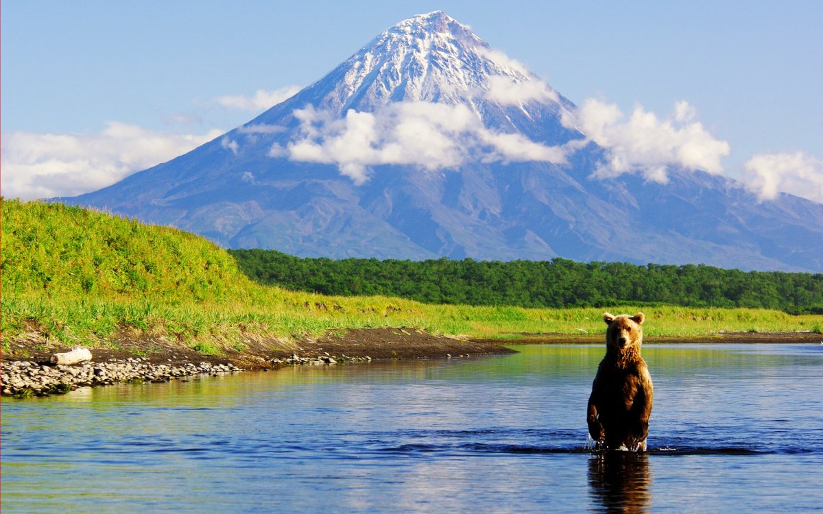 Кроноцкий заповедник дальнего Востока