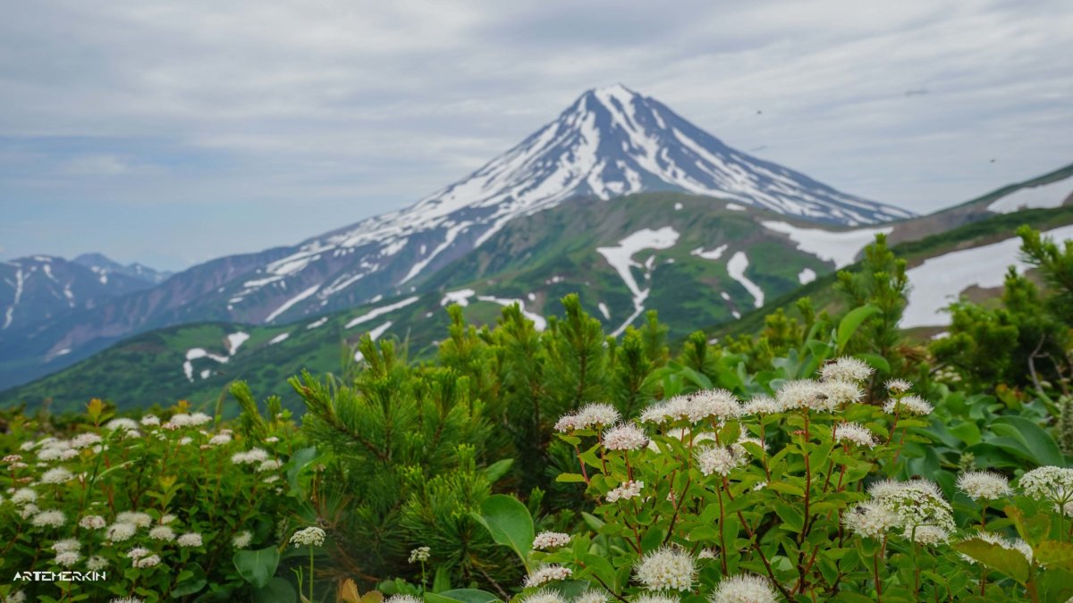 Полуостров Камчатка климат