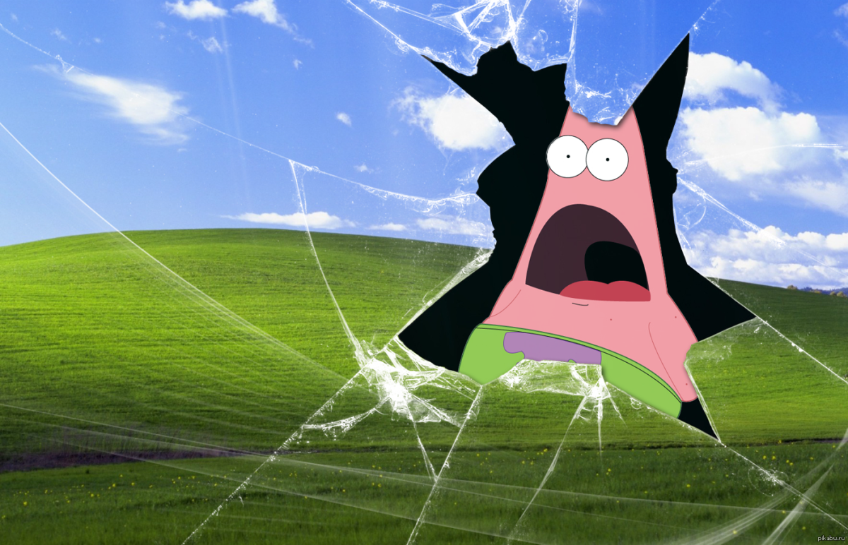 Кошка Минимализм