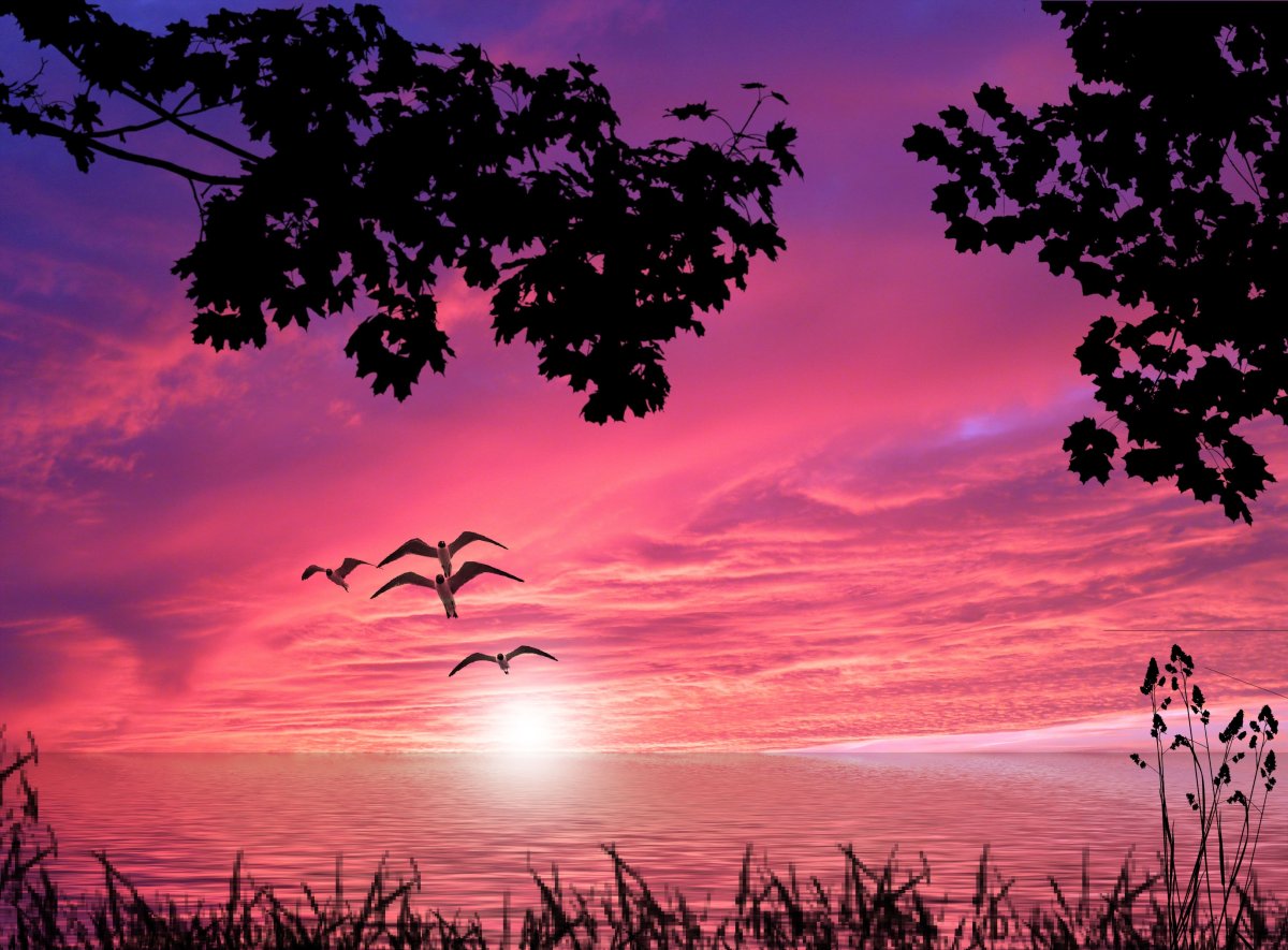 Красивый романтический закат