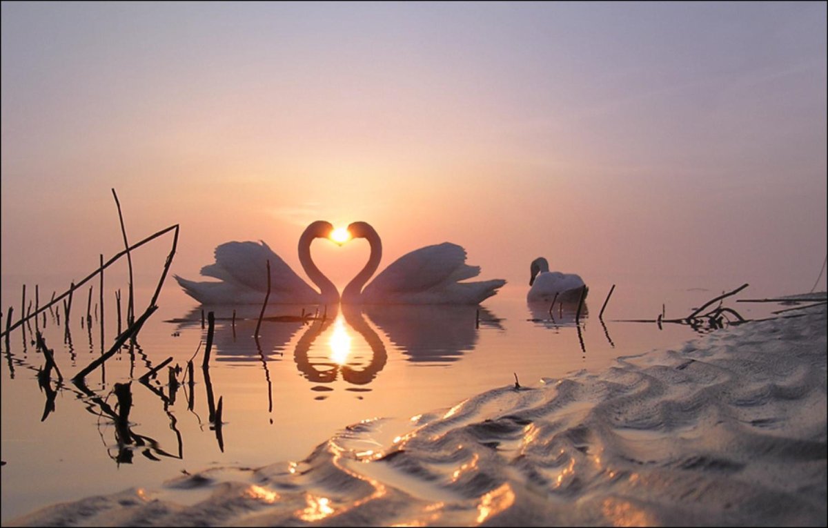 Любовь к природе