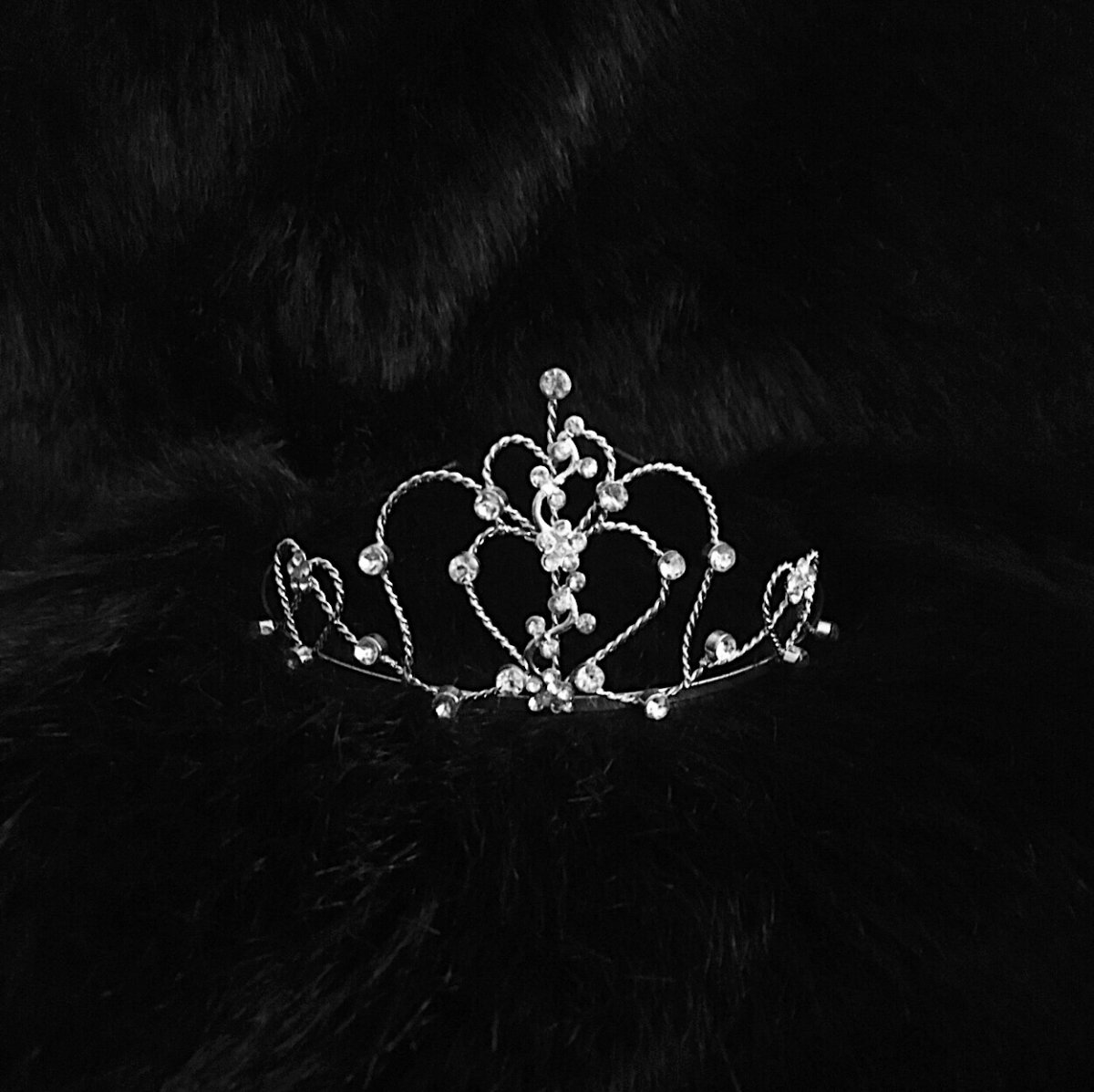 Корона Эстетика