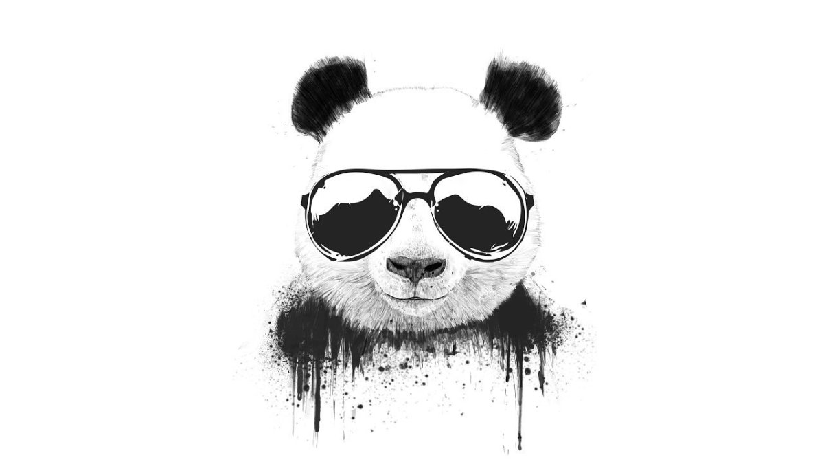 Панда обои