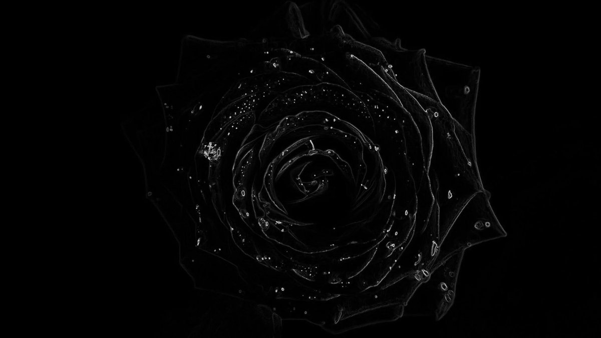 Темные обои