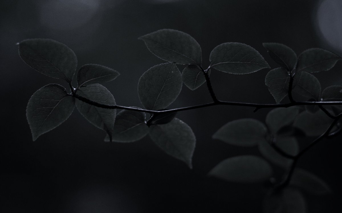 Обои на рабочий стол темные