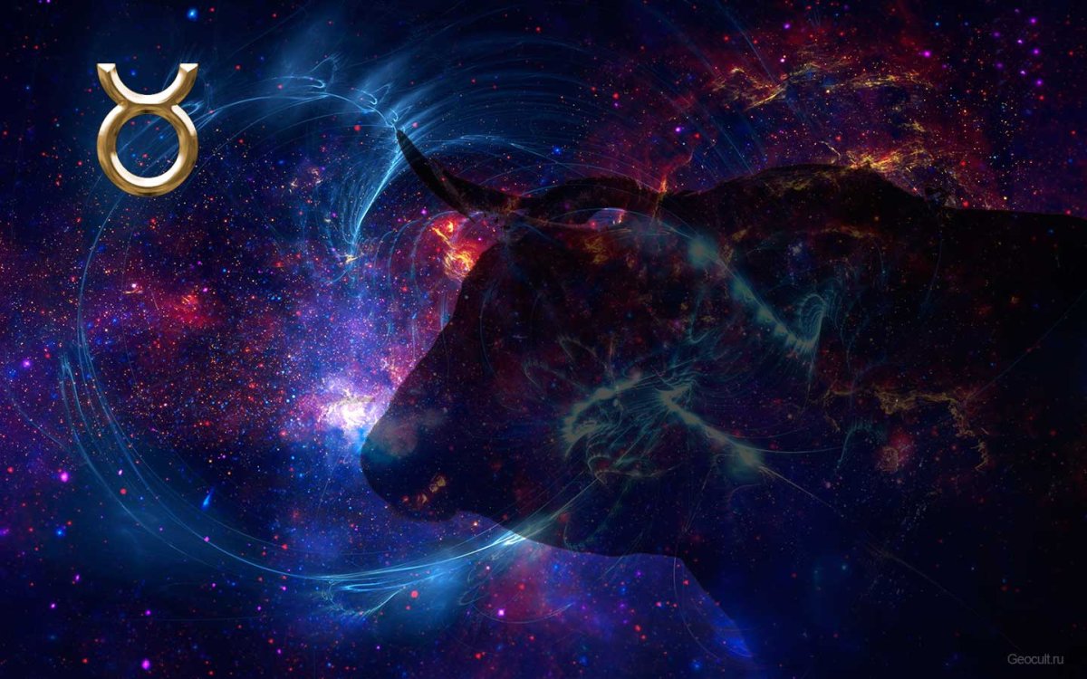 Звездный бык