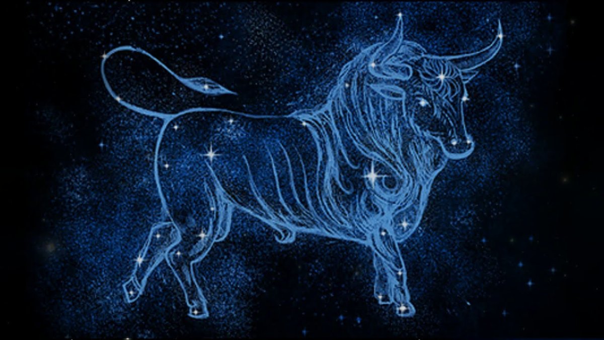 Созвездие быка