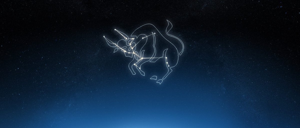 Созвездие тельца