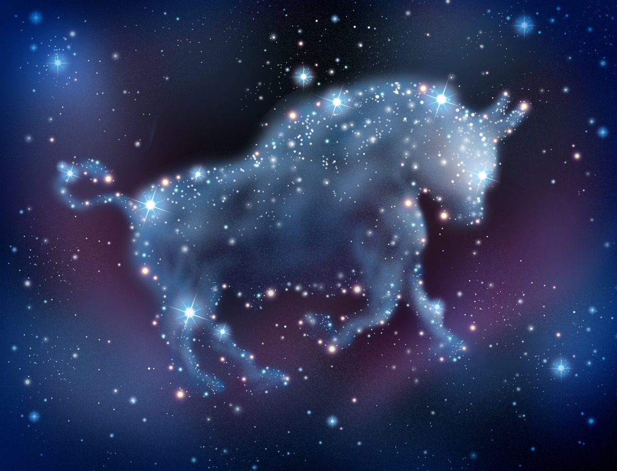 Звездный бык