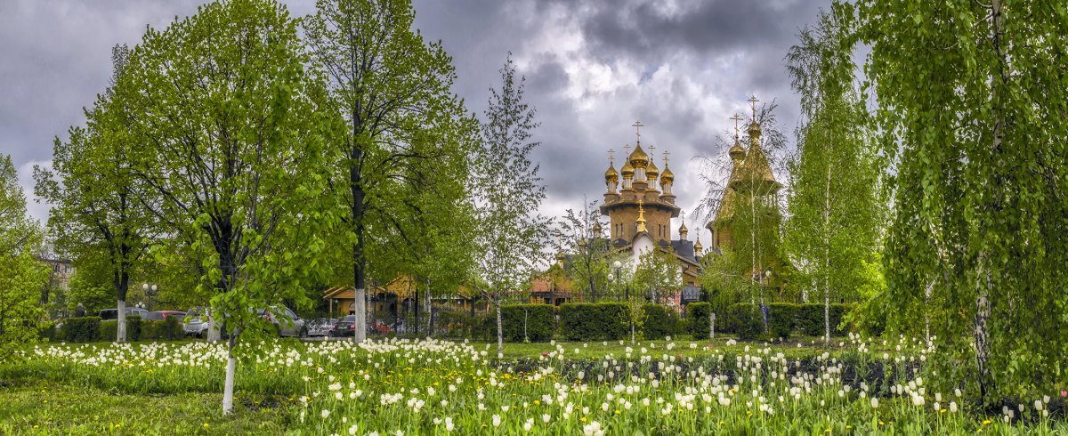 Россия березы храм