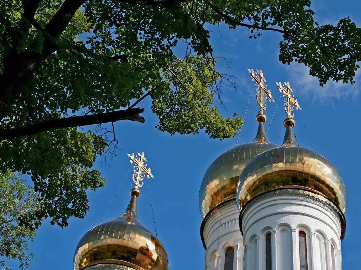 Россия берёзы православный храм
