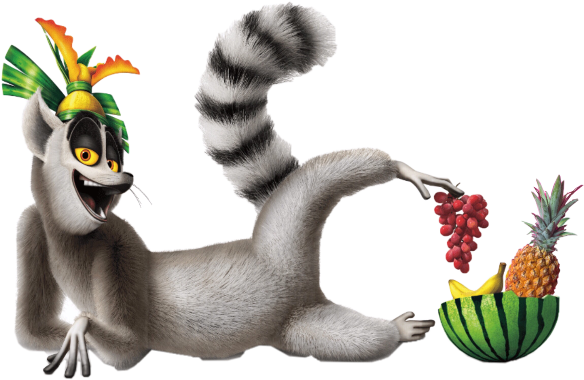 Лемур Морис из Мадагаскара