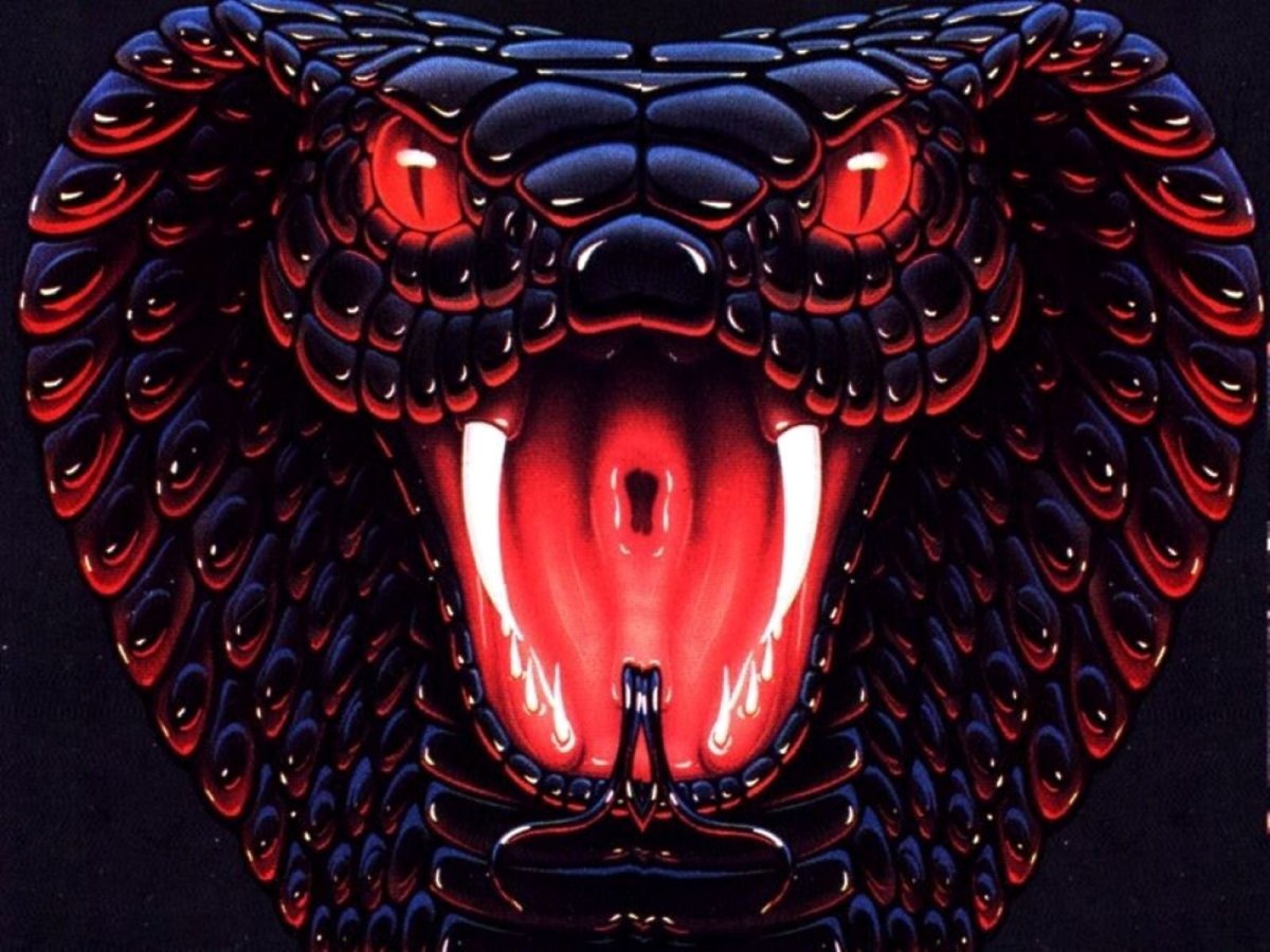 Кобра морда