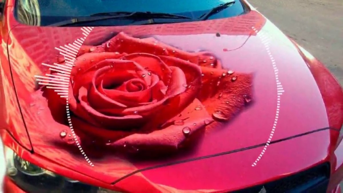 Букет цветов на капоте машины