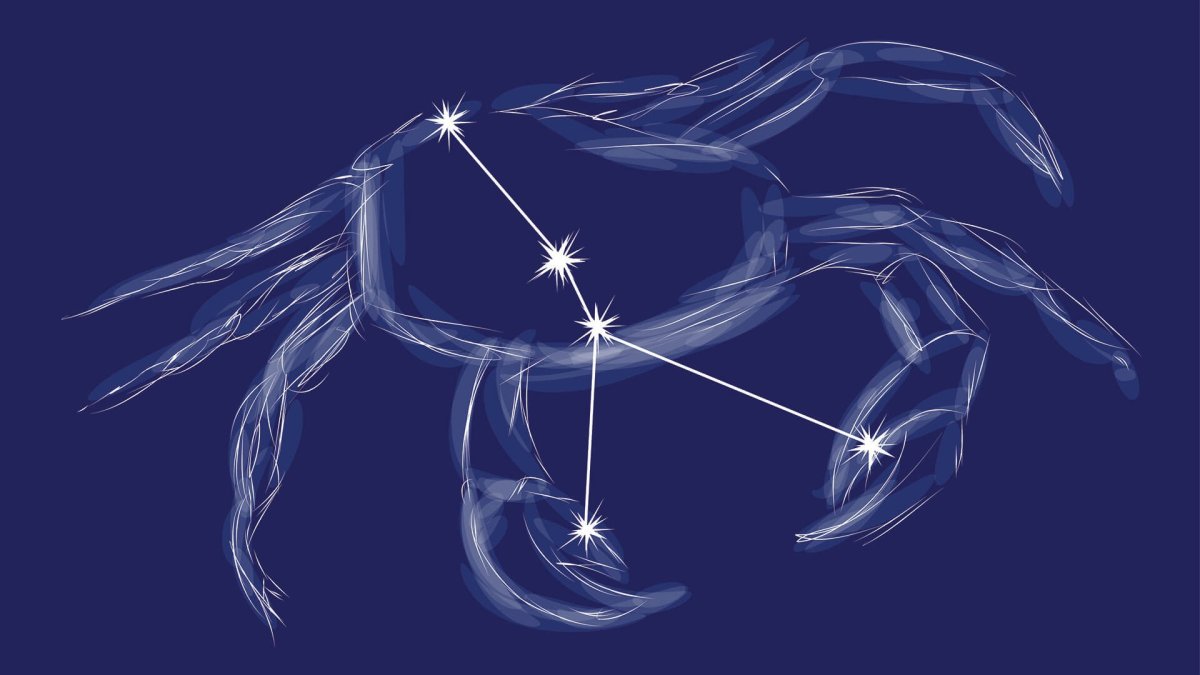 Созвездия знаков зодиака на белом фоне