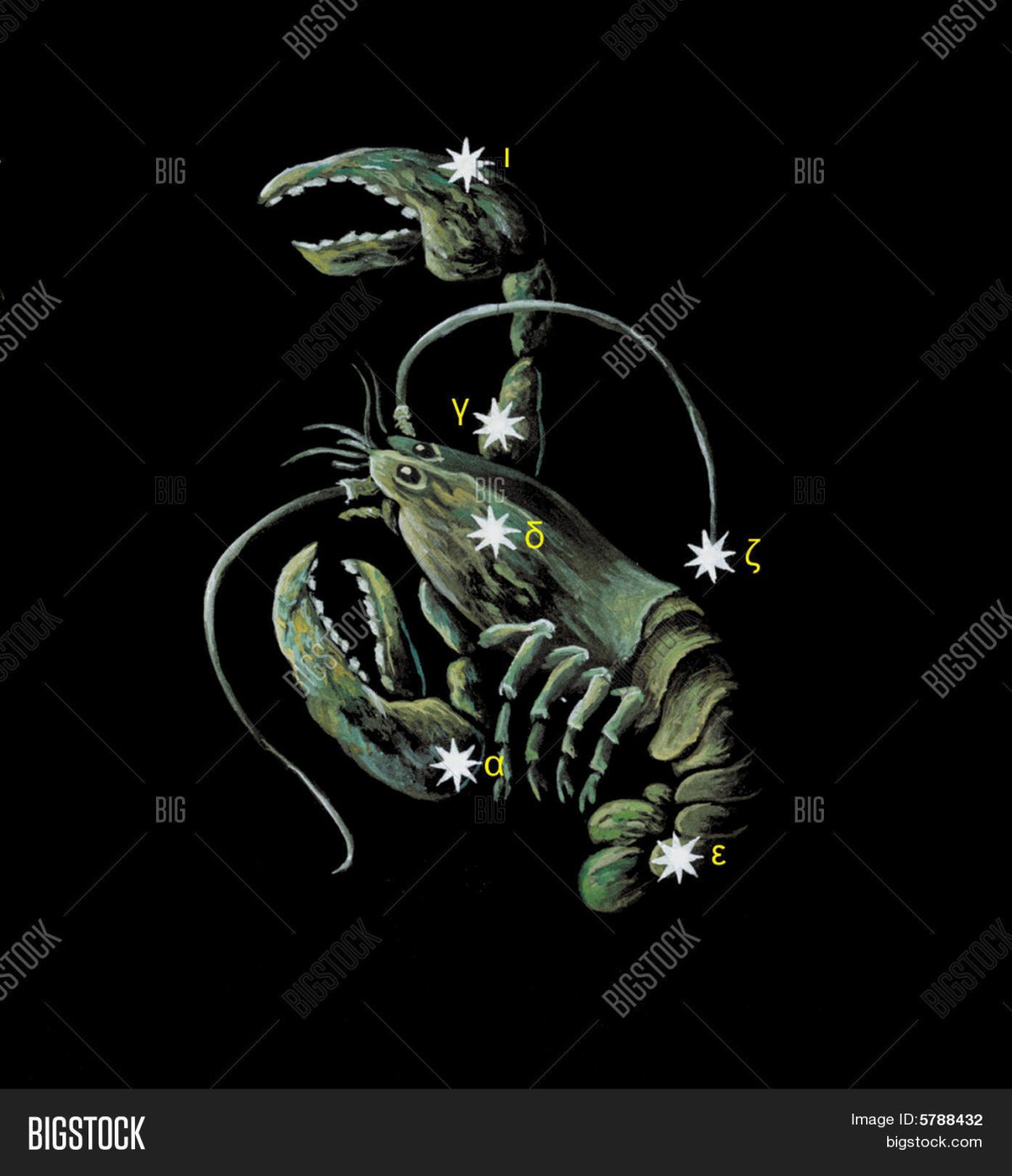 Созвездие краба