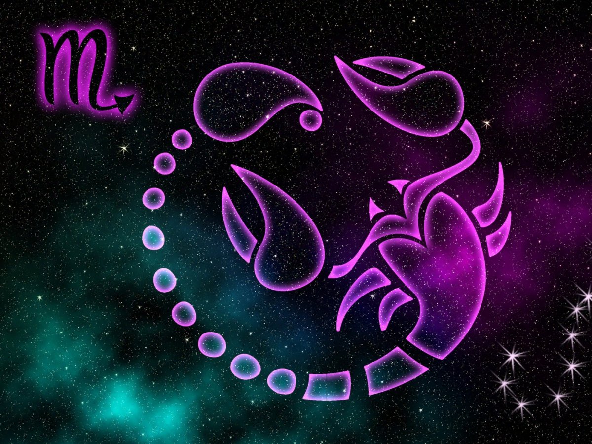 Скорпион на фиолетовом фоне