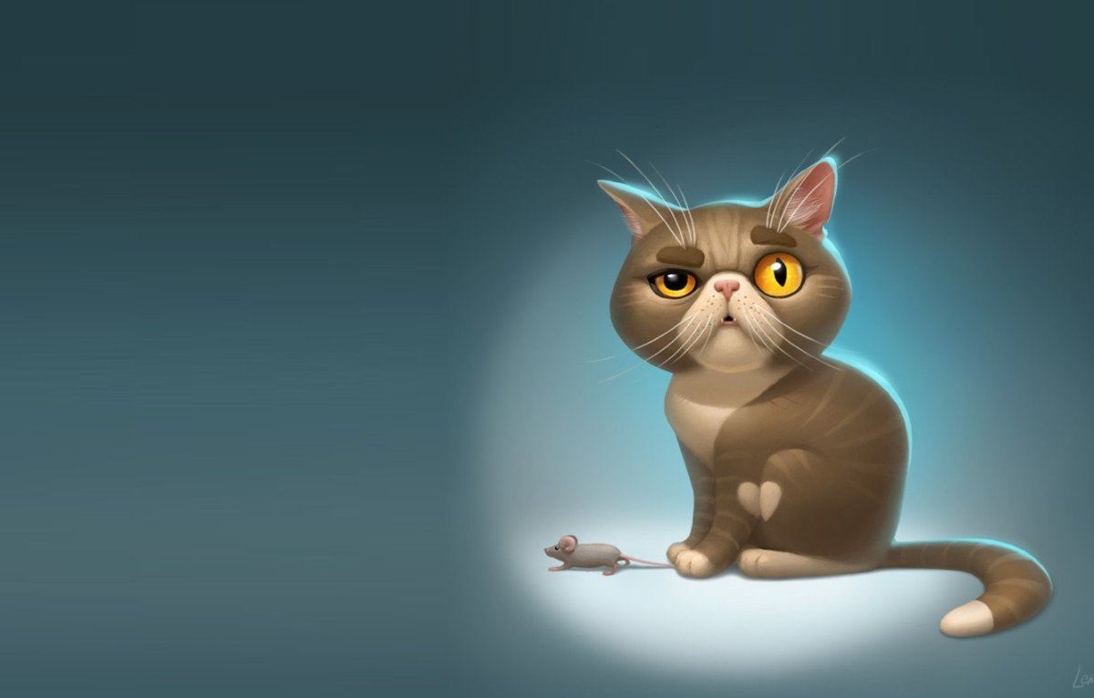 Смешной кот арт