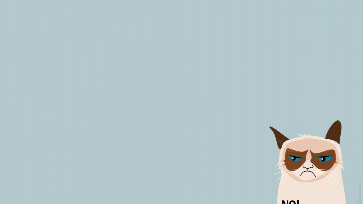 Grumpy Cat на рабочий стол