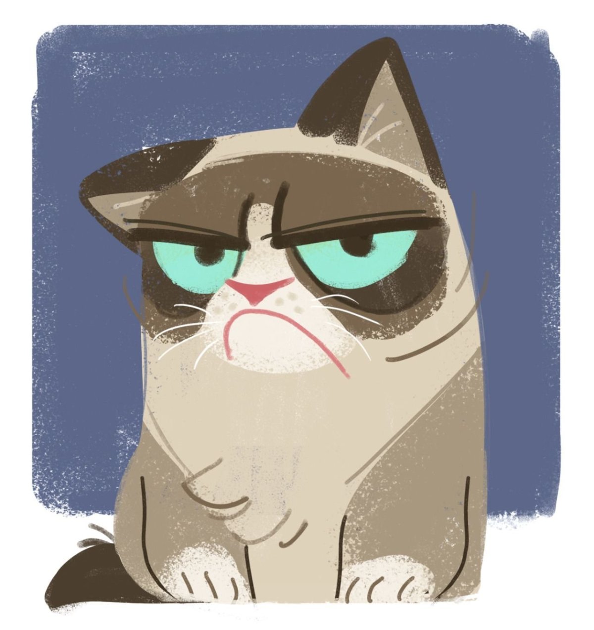 Недовольный кот