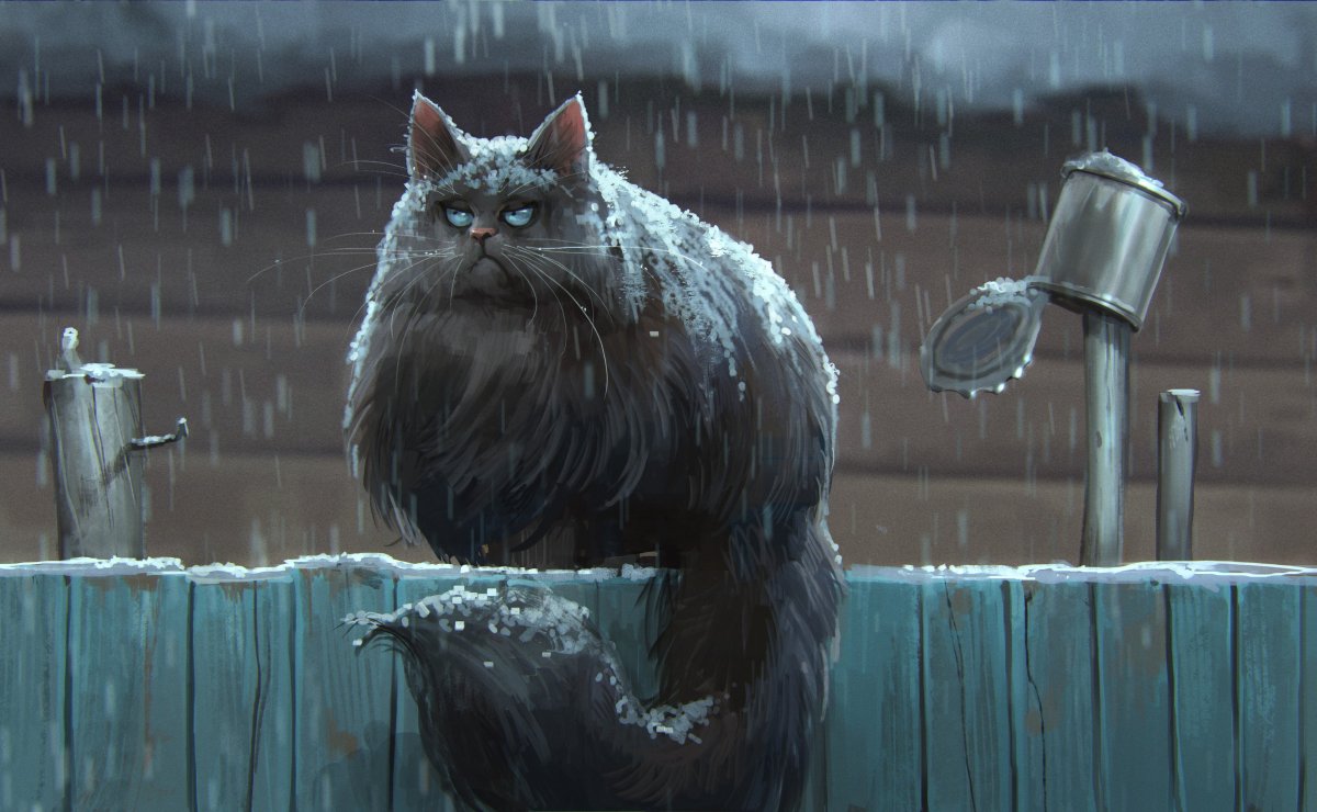 Кот сидит на заборе