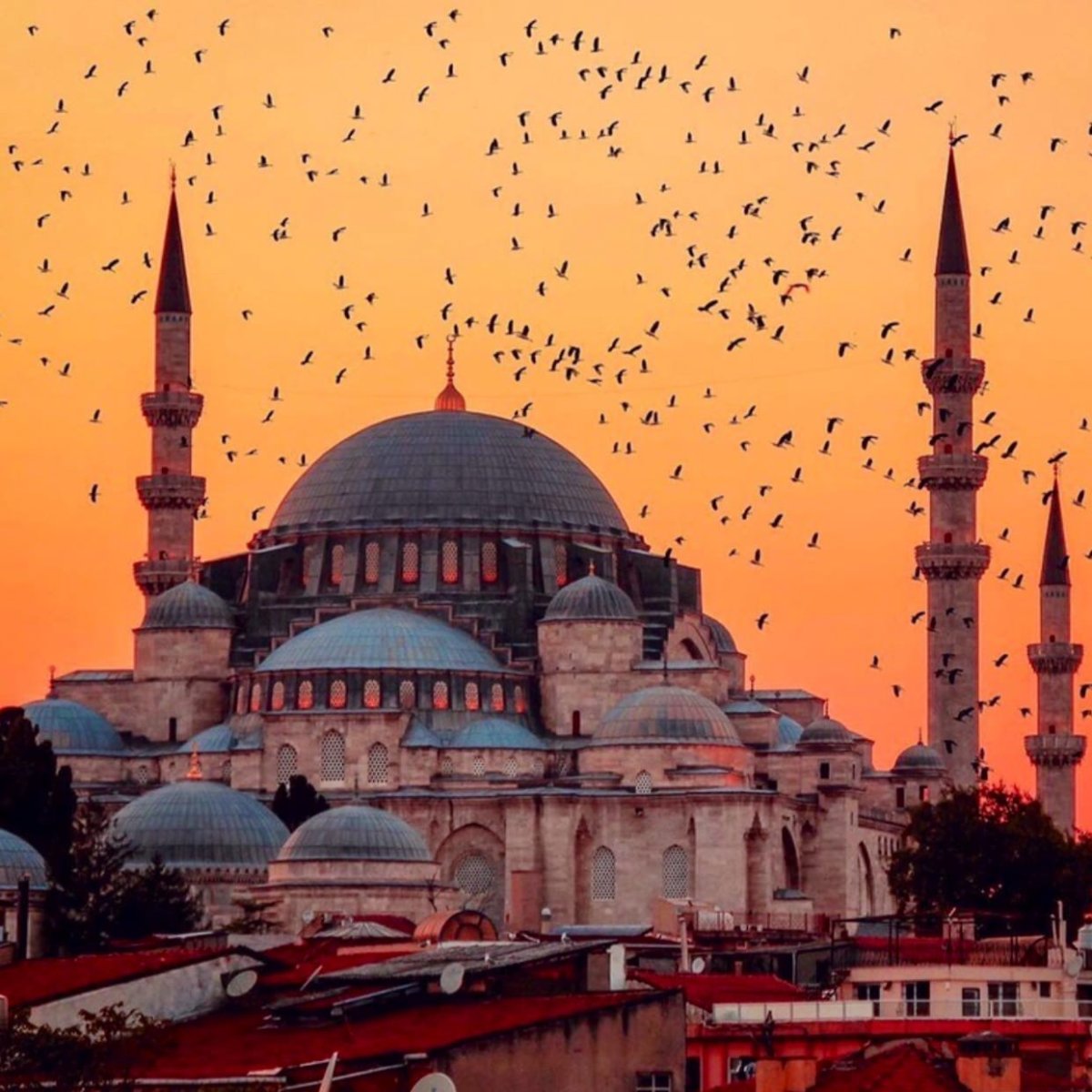 Белая мечеть Стамбул