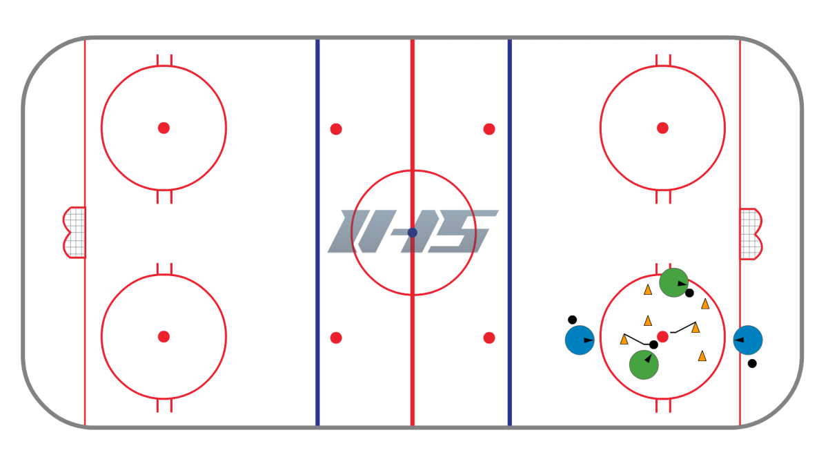 Поле стадион хоккей