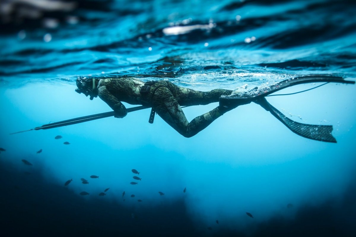 Подводная рыбалка