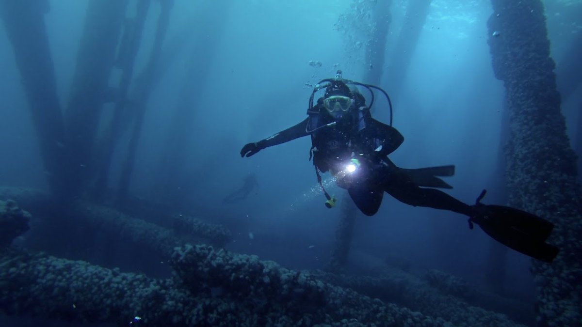 Дайвинг обои