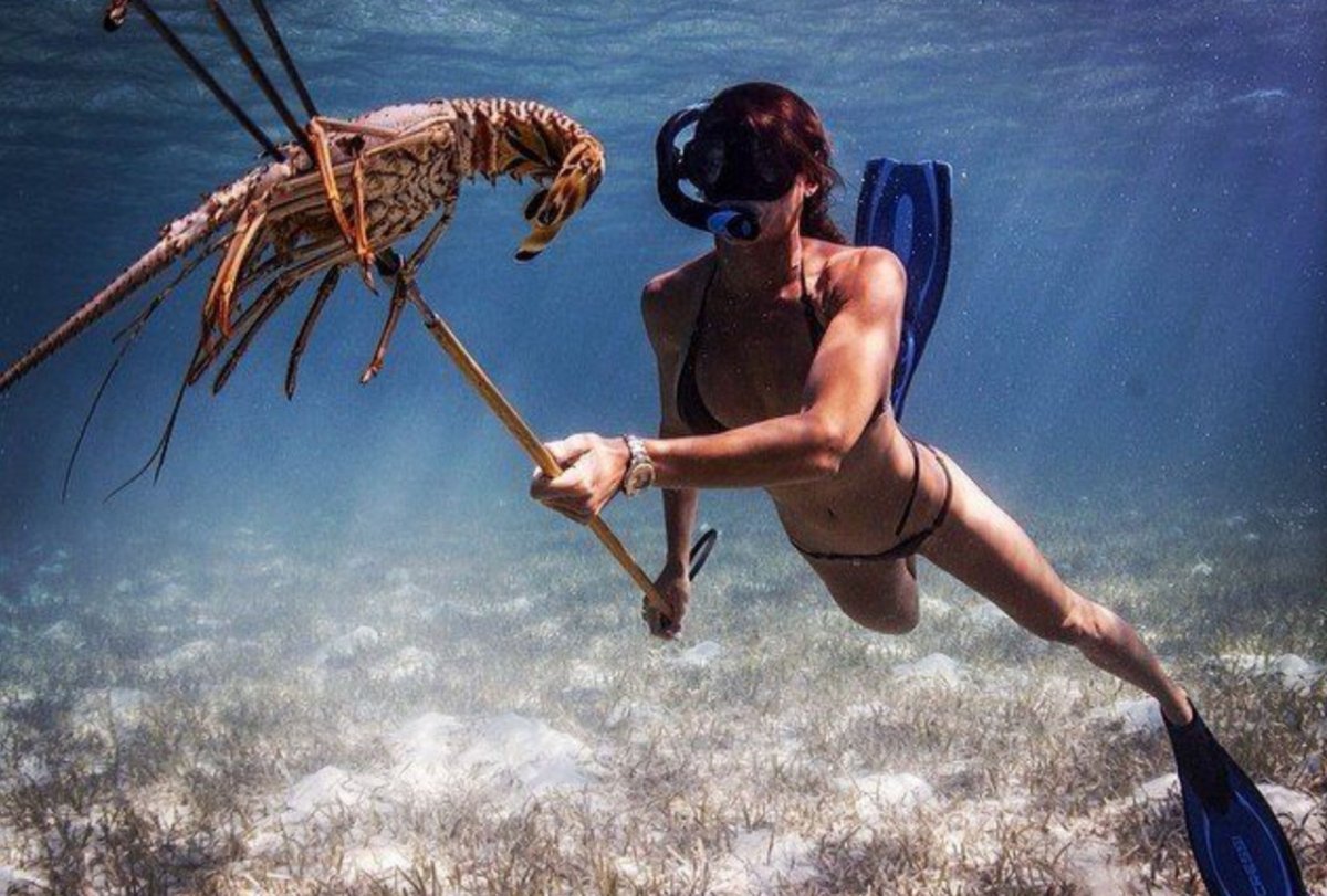 Морская подводная охота