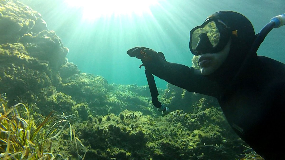 Подводная охота