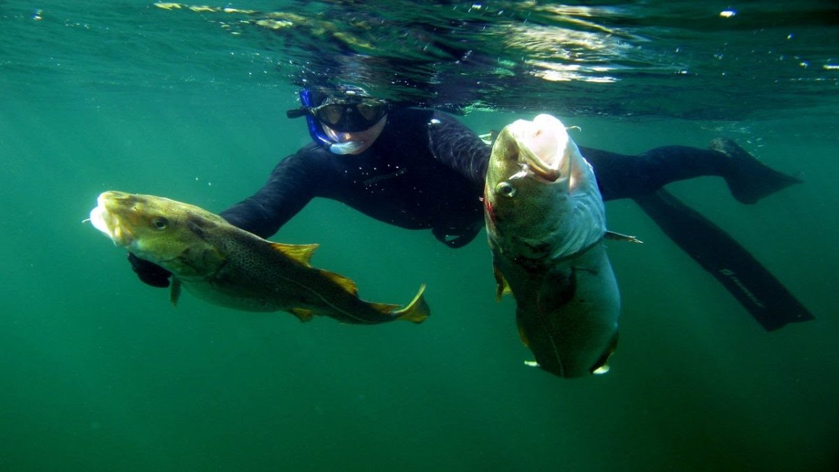 Подводная охота