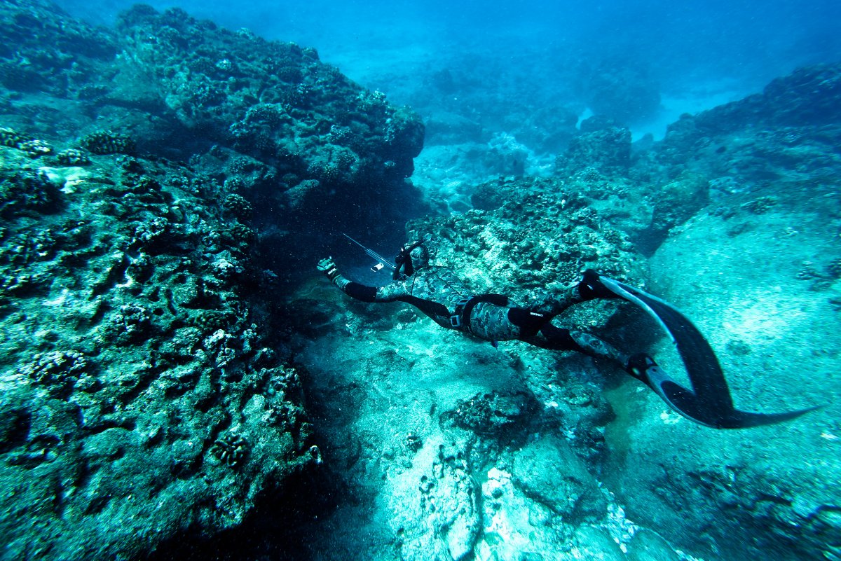 Подводная охота в океане