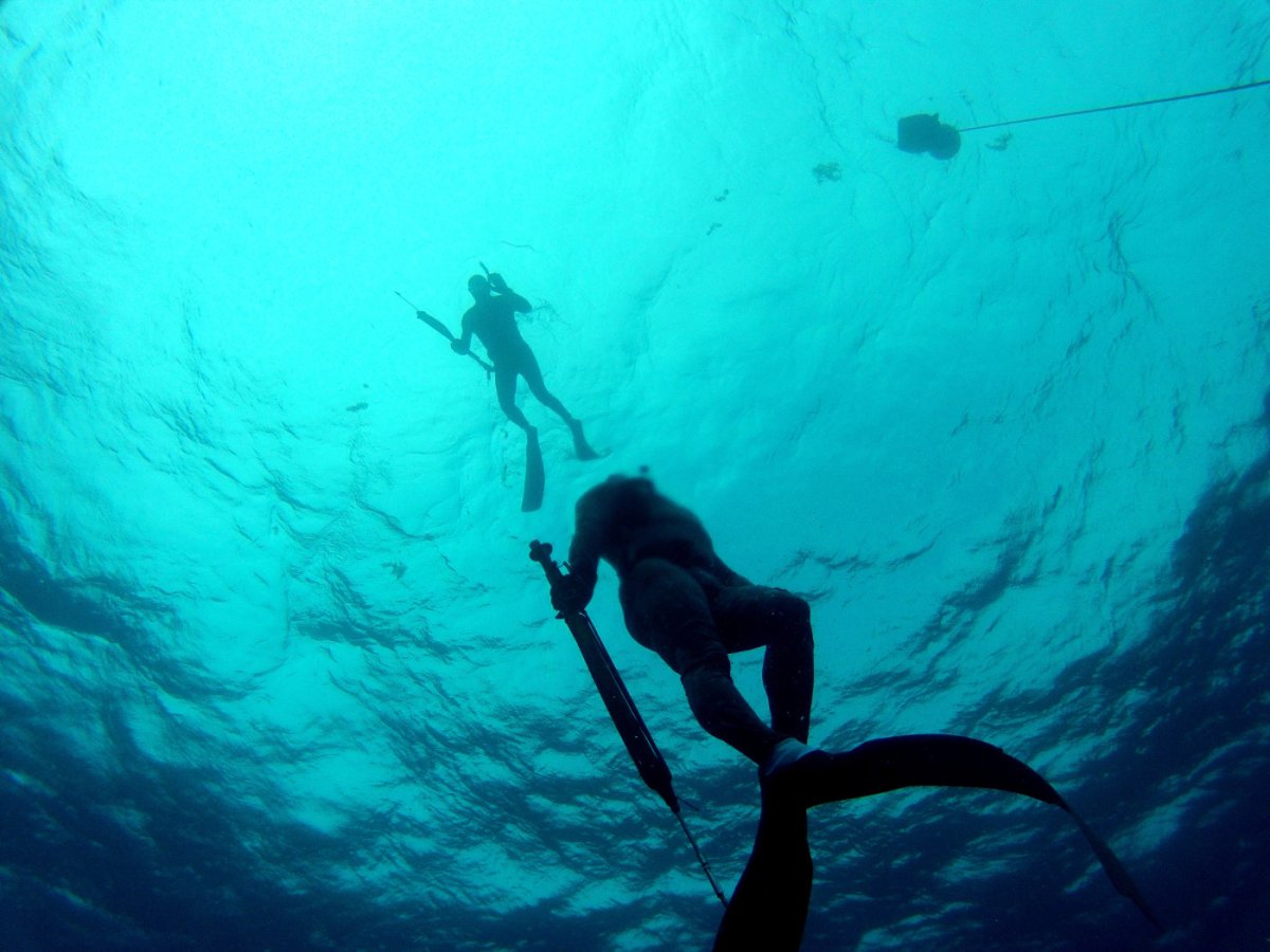 Подводная охота обои