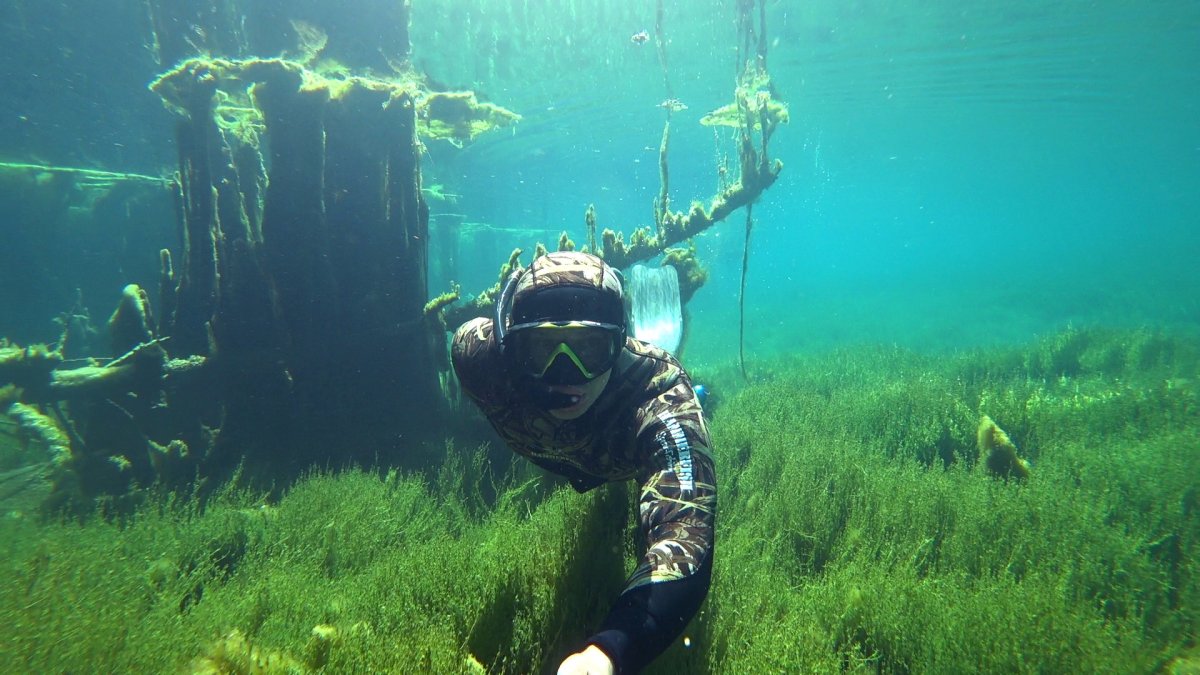 Подводная охота