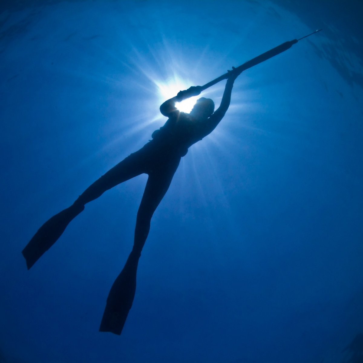 Подводный охотник ныряет