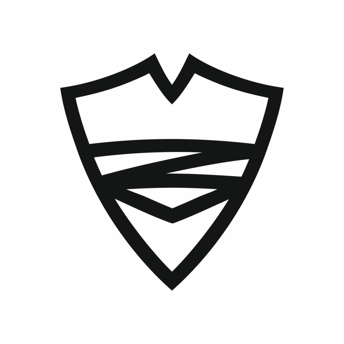 Питерский щит