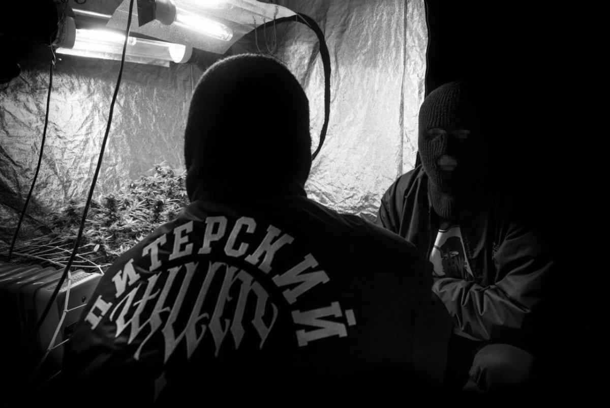 Каха Кирсанов Питерский щит