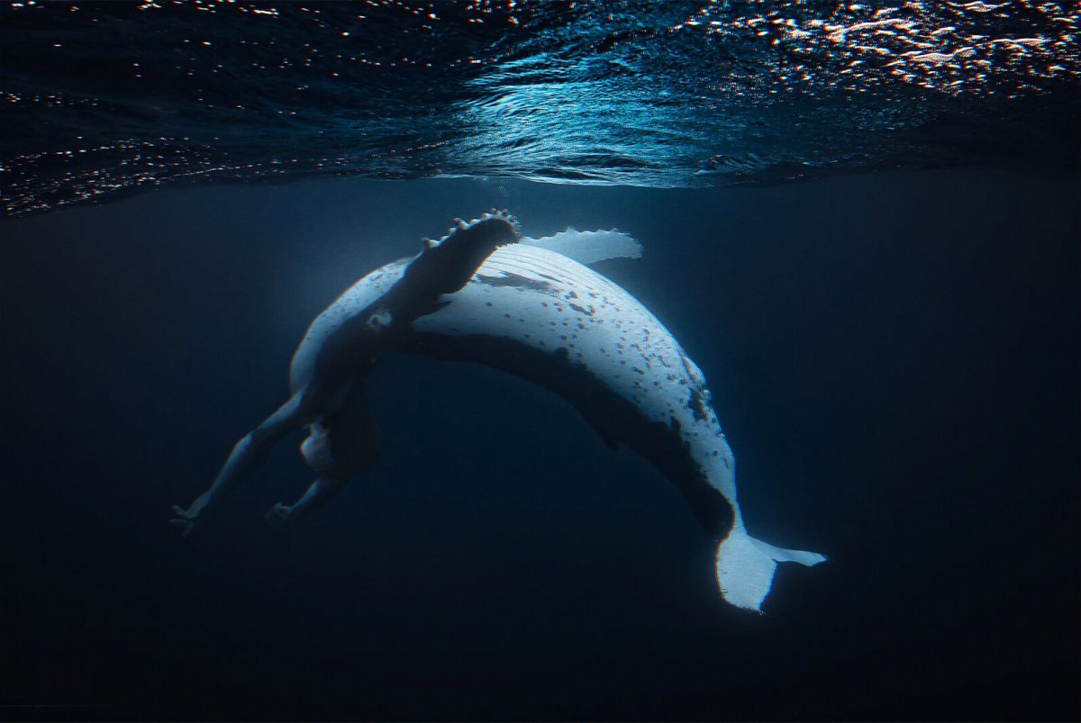 Левиафан горбатый кит