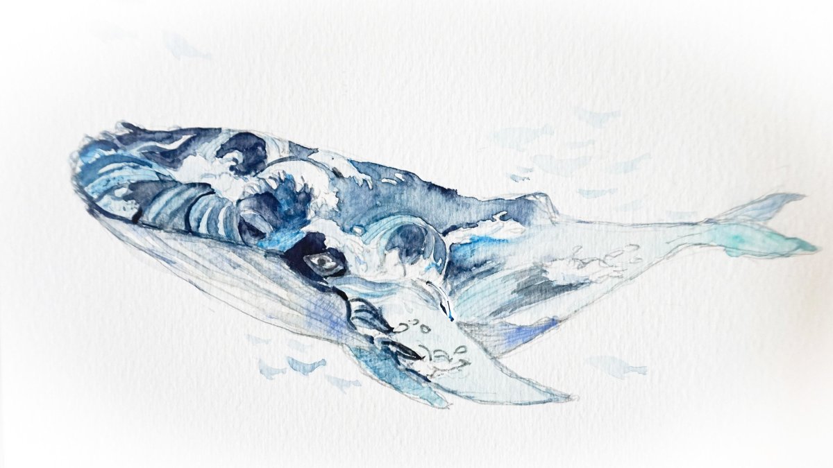 Кит картинка