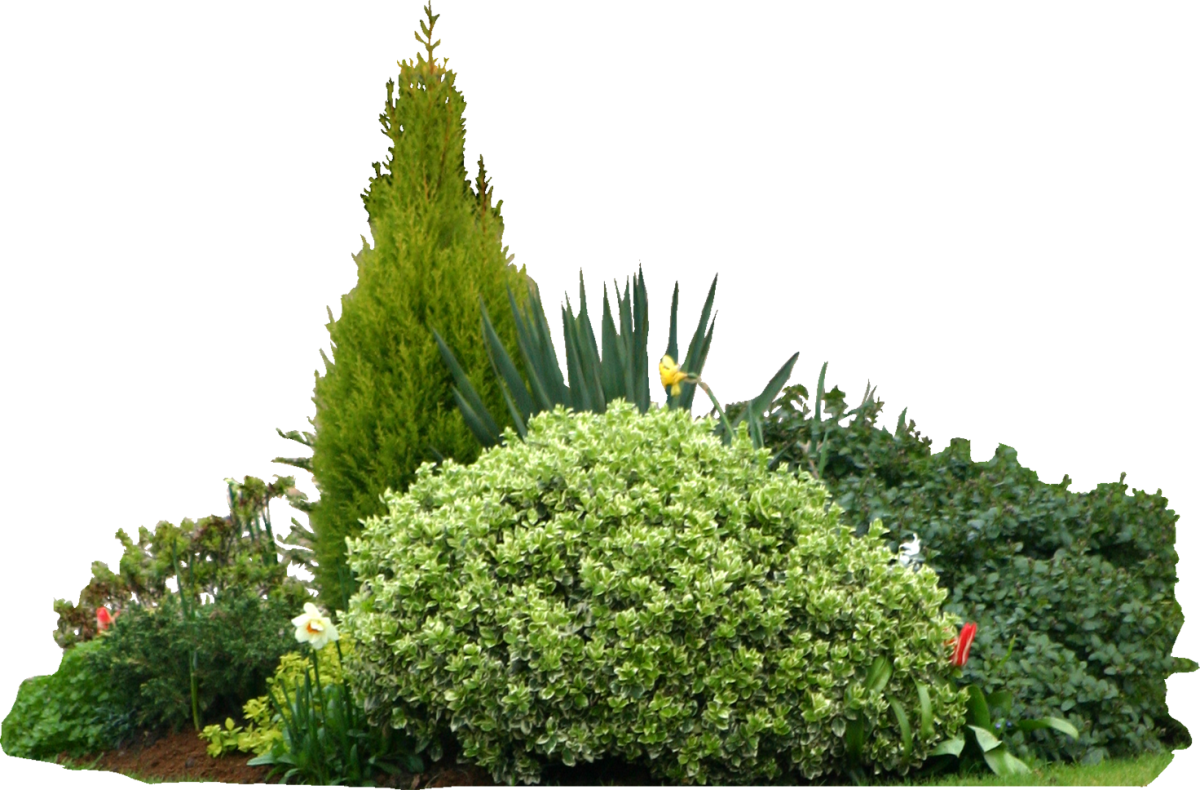 Ландшафтные композиции на прозрачном фоне