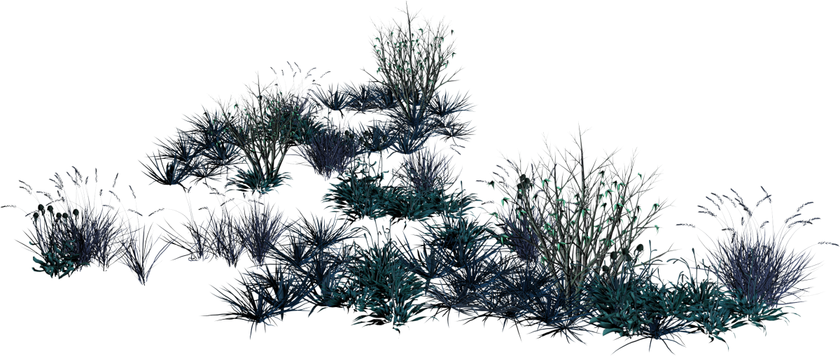 Куст травы на прозрачном фоне