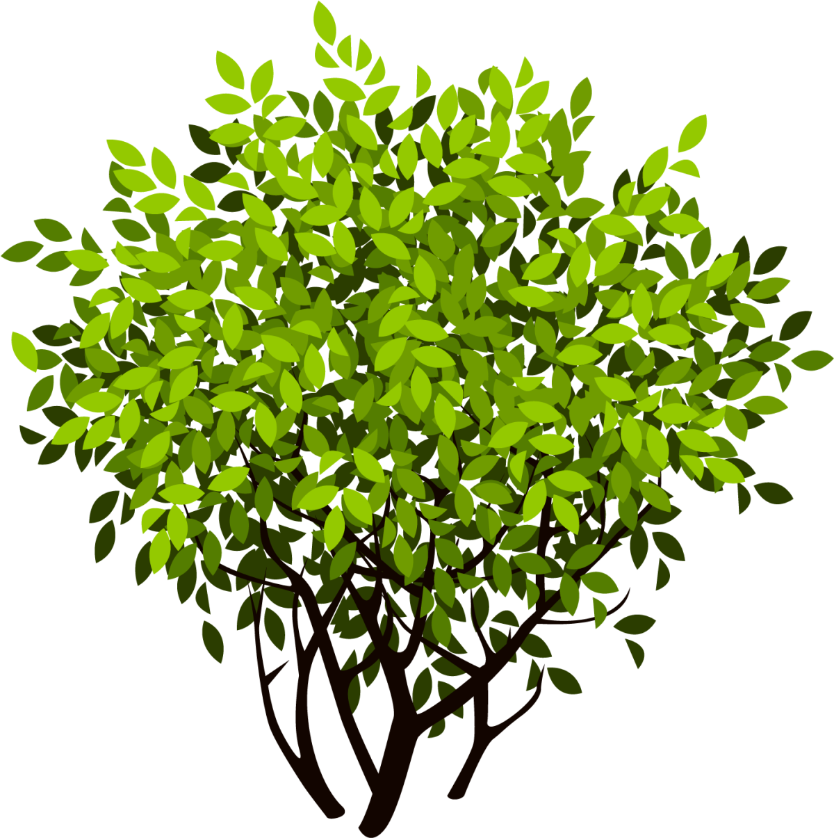 Кустарники для детей